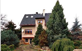 Apartman Tereza Decin